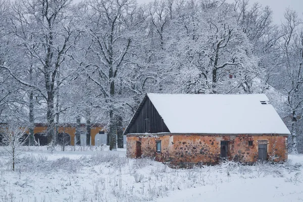 Paisagem Inverno Nevado Durante Dia — Fotografia de Stock