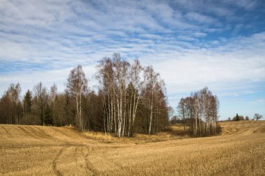 İlkbaharın başlarında bulutlu tarlalar ve çayırlar