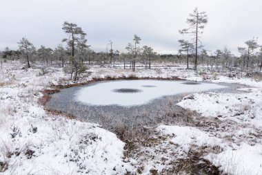 Kış parkta donmuş nehir