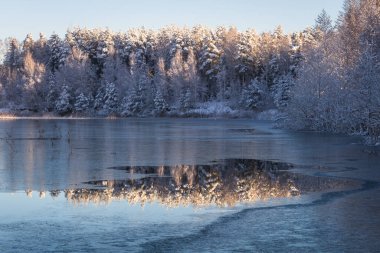Kar ve ağaçlarla kaplı kış manzarası