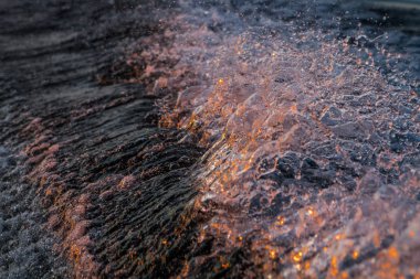 Ormandaki donmuş çimenler.