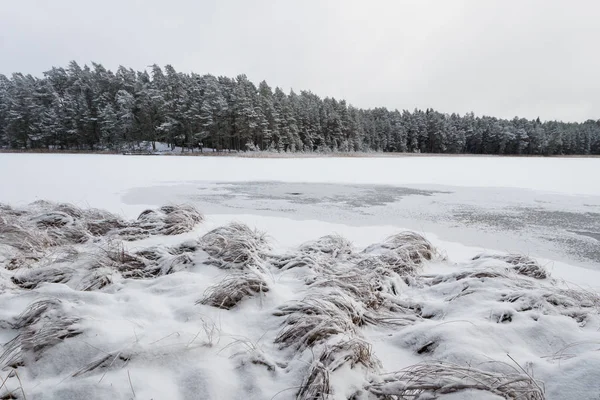 Snowy Winter Landscape Daytime — Stock Photo, Image