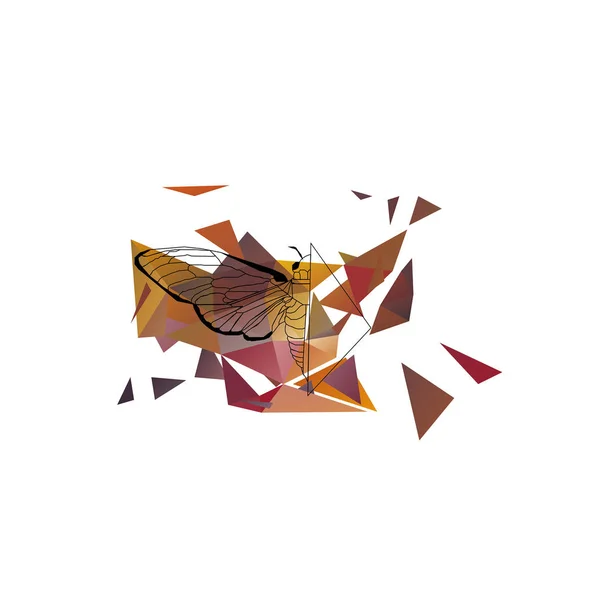 Fluture pe triunghiul detonat — Vector de stoc