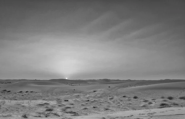 Wüste Dubai, Sand und Sonne — Stockfoto