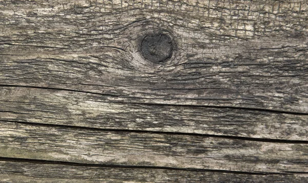 Vieille texture de bois gros plan — Photo