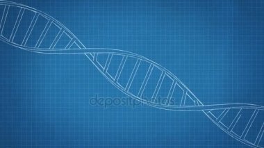 El blueprint kağıt üzerinde dönen Dna dizisi çekilmiş. Sorunsuz döngü animasyon. 4k, Ultra Hd çözünürlük. Benim portföyünde mevcut daha fazla renk seçenekleri.