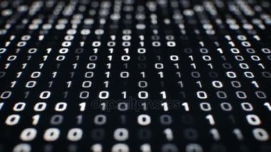 İkili kod ile teknoloji siyah arka plan dijital ekranda aşağıya taşır. Sorunsuz döngü. Daha fazla renk seçenekleri, kamera açıları ve farklı animasyon benim portföyü içinde kullanılabilir. 