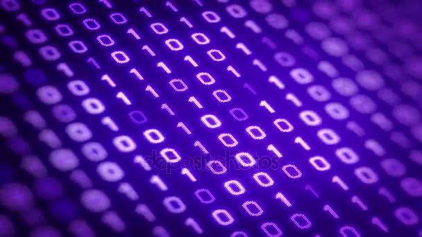 Технология Фиолетового Фона Двоичным Кодом Движется Вниз Цифровому Экрану Бесшовный — стоковое видео