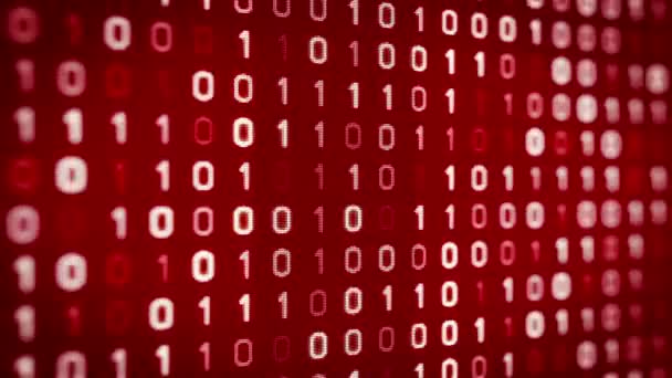 Technologie Červené Pozadí Binárního Kódu Přesune Dolů Digitální Displej Bezešvá — Stock video