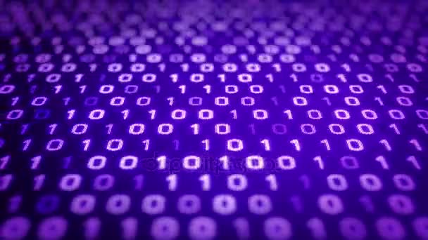 Technology Purple Background Animated Strokes Binary Code Digital Screen Seamless — Stock Video