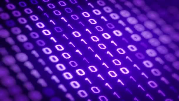Технологія Фіолетового Фону Двійковим Кодом Рухається Зліва Направо Цифровому Екрані — стокове відео