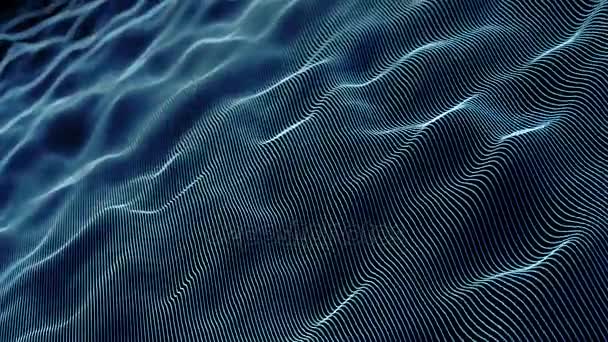 Фонова Анімація Потокових Хвиль Абстрактні Темно Сині Лінії Чорному Тлі — стокове відео