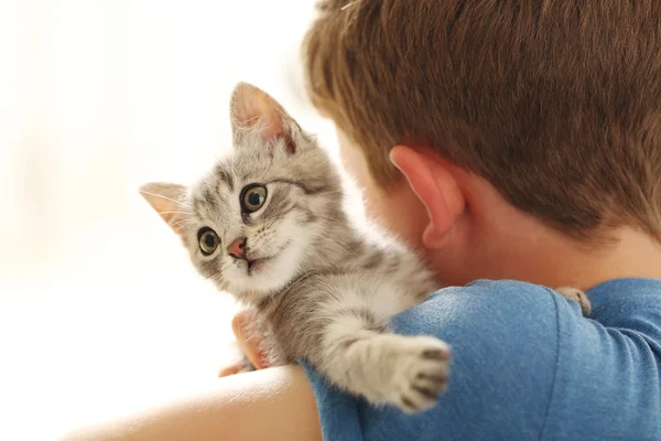 Çocuk yavru kedi elleri ile — Stok fotoğraf