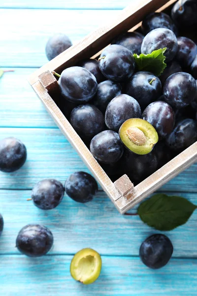 Smakelijke en rijpe pruimen — Stockfoto