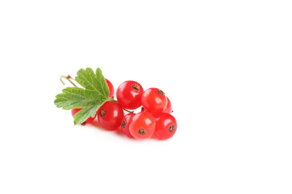 Red currants on  table — Stock Photo, Image