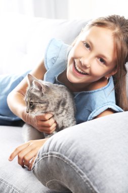 eller üzerinde Gri kedi 