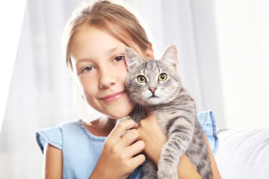 eller üzerinde Gri kedi