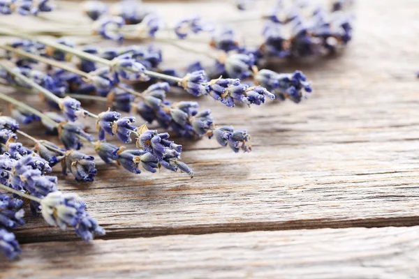 Bunch of lavender flowers — Stock Photo, Image