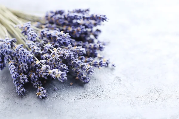 Ramo de flores de lavanda — Foto de Stock