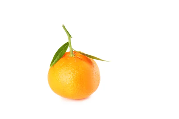 Ripe mandarin isolated — Stock Photo, Image