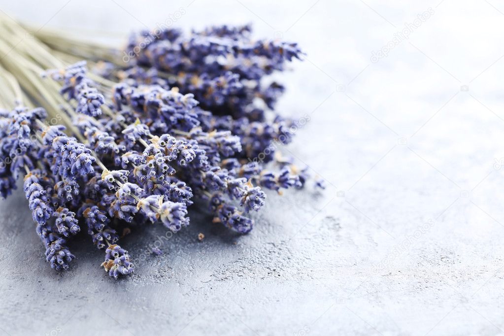 Bunch of lavender flowers 