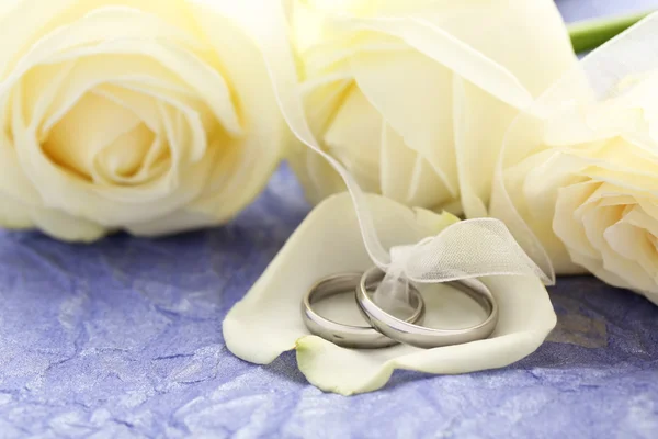 Silver wedding rings — Stock Photo, Image