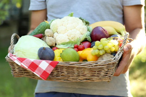 Tangan keranjang dengan buah-buahan dan sayuran — Stok Foto