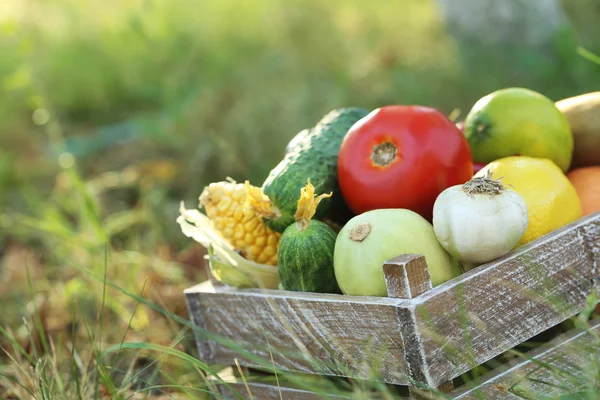 Reife und schmackhafte Früchte und Gemüse — Stockfoto