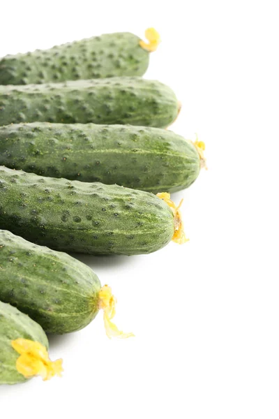 Fresh cucumbers isolated — Stock Photo, Image