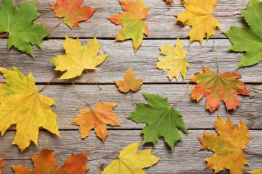 Masaya sonbahar yaprakları