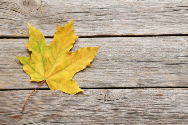 Hojas de otoño sobre mesa gris —  Fotos de Stock