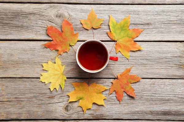 Herbstblätter mit Tasse Tee — Stockfoto