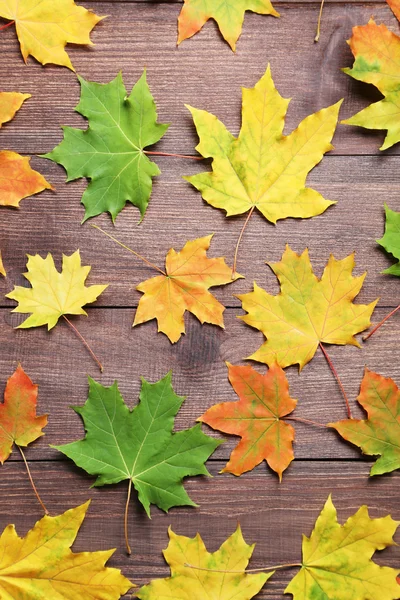 Осенние листья на коричневом столе — стоковое фото