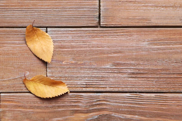 Hojas de otoño sobre mesa marrón —  Fotos de Stock