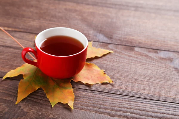 Осенний лист с чашкой чая — стоковое фото