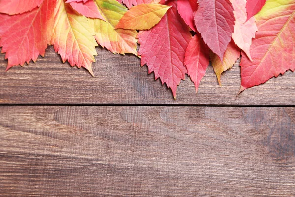 Herfstbladeren op bruin tafel — Stockfoto