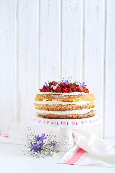 Bolo de biscoito delicioso com bagas — Fotografia de Stock