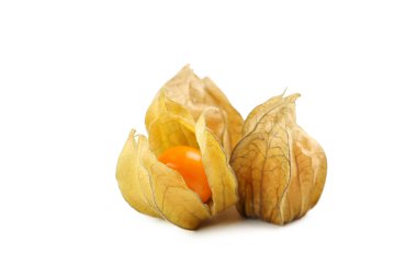 Olgun physalis izole 