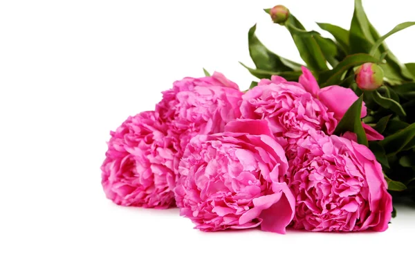 Boeket roze pioenroos bloemen — Stockfoto