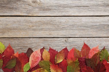 Masaya sonbahar yaprakları