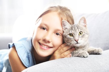  eller üzerinde Gri kedi 