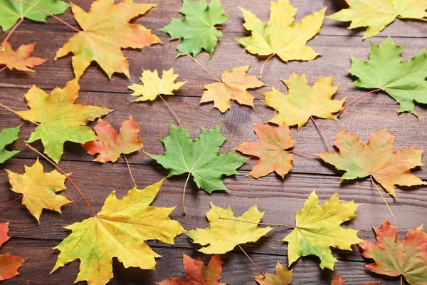 Φθινοπωρινά φύλλα στο τραπέζι — Φωτογραφία Αρχείου