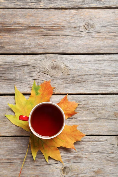Осенний лист с чашкой чая — стоковое фото