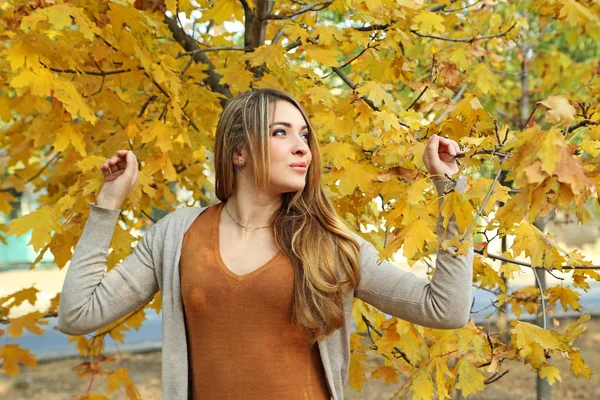 Beautiful young girl in autumn park — Stock Photo, Image