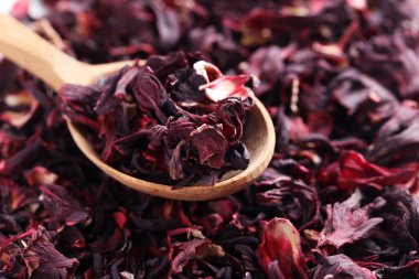 laptop beraber üzerinde çalışan iş kadınları 