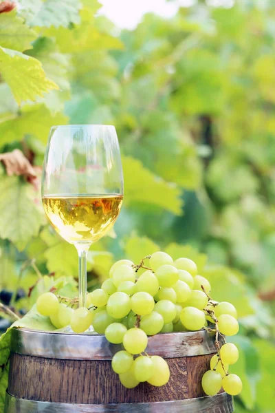 Vinho em copo com molho de uva — Fotografia de Stock