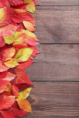 Masaya sonbahar yaprakları