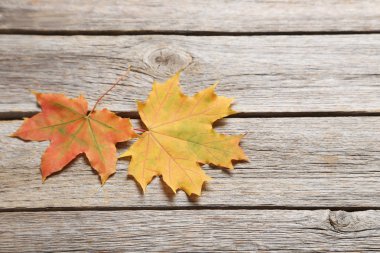 Masaya sonbahar yaprakları