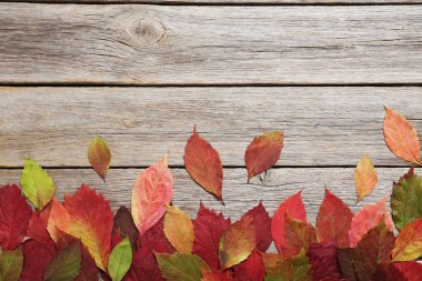 Masaya sonbahar yaprakları