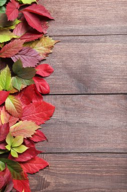 Masaya sonbahar yaprakları